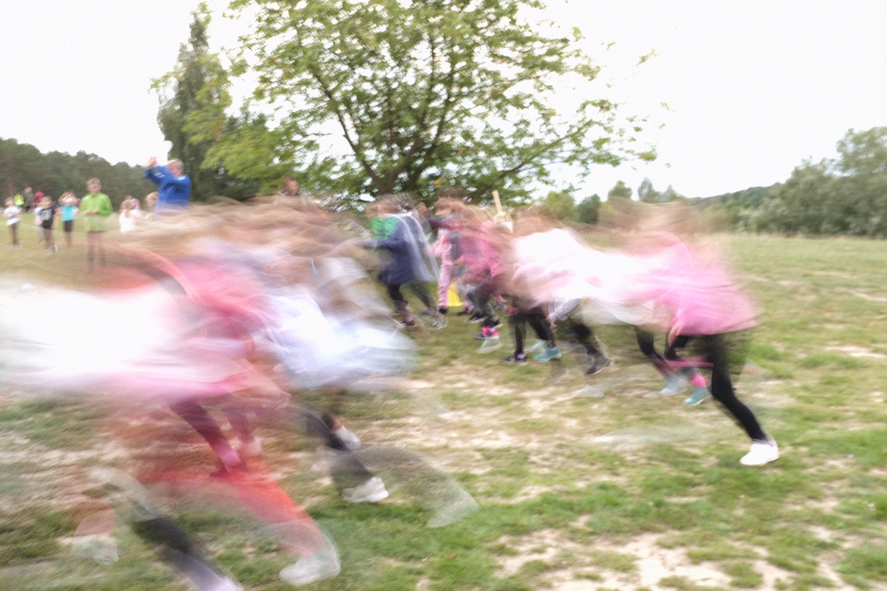 Crosslauf am Wollitzsee